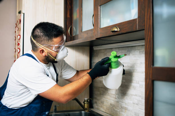 Pest Prevention Services in Butler, AL
