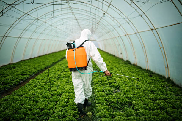 Best Pest Control Near Me  in Butler, AL