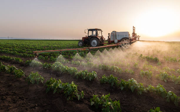 Best Mosquito Control Services  in Butler, AL