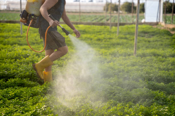 Best Affordable Pest Control Services  in Butler, AL